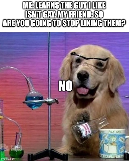 I Have No Idea What I Am Doing Dog Meme | ME: LEARNS THE GUY I LIKE ISN’T GAY. MY FRIEND: SO ARE YOU GOING TO STOP LIKING THEM? NO | image tagged in memes,i have no idea what i am doing dog | made w/ Imgflip meme maker