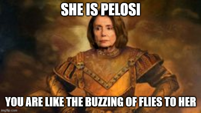 She is!!!!!!!! | SHE IS PELOSI; YOU ARE LIKE THE BUZZING OF FLIES TO HER | image tagged in politics,political meme,political,nancy pelosi | made w/ Imgflip meme maker