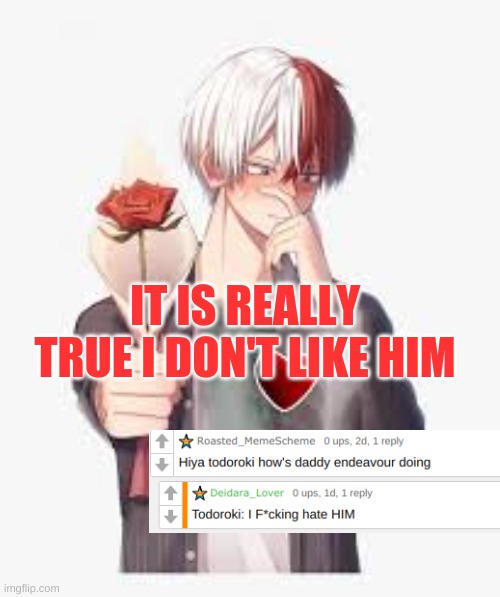 Question answered | IT IS REALLY TRUE I DON'T LIKE HIM | image tagged in anime,my hero academia,todoroki | made w/ Imgflip meme maker