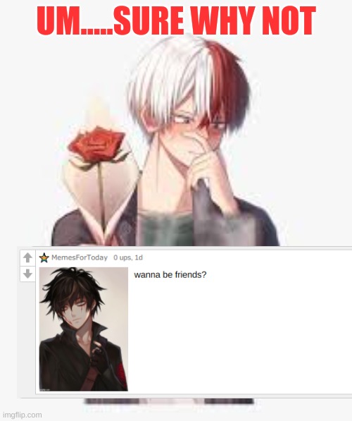 Another Question Answered | UM.....SURE WHY NOT | image tagged in anime,my hero academia,todoroki | made w/ Imgflip meme maker