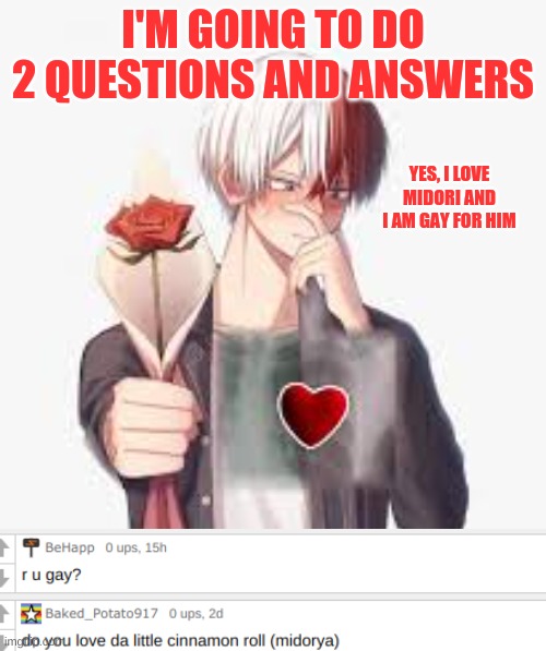 2 Questions and Answers Done | I'M GOING TO DO 2 QUESTIONS AND ANSWERS; YES, I LOVE MIDORI AND I AM GAY FOR HIM | image tagged in anime,my hero academia,todoroki | made w/ Imgflip meme maker