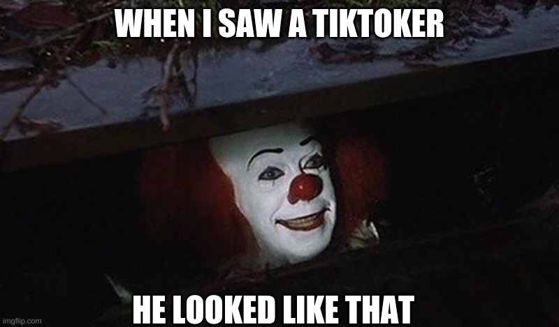 Tiktoker | WHEN I SAW A TIKTOKER; HE LOOKED LIKE THAT | image tagged in pennywise hey kid,tik tok sucks | made w/ Imgflip meme maker