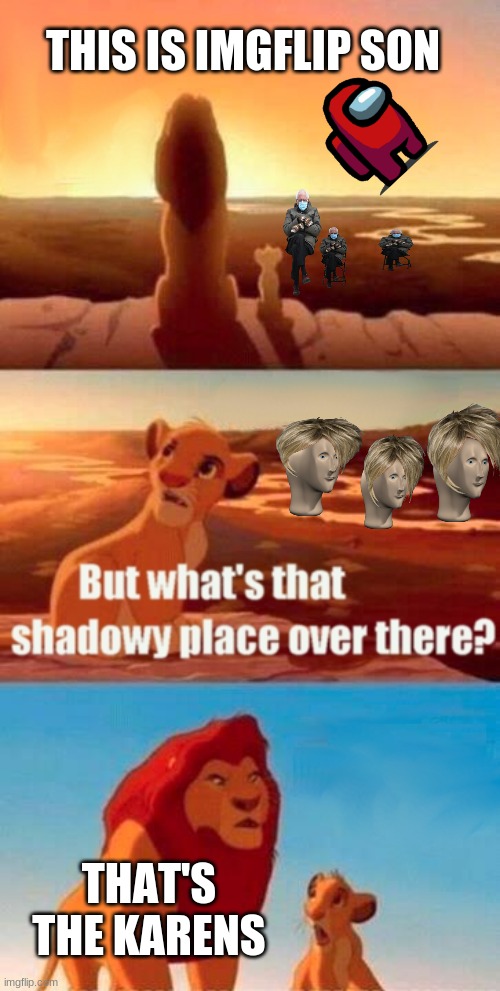 Simba Shadowy Place Meme | THIS IS IMGFLIP SON THAT'S THE KARENS | image tagged in memes,simba shadowy place | made w/ Imgflip meme maker