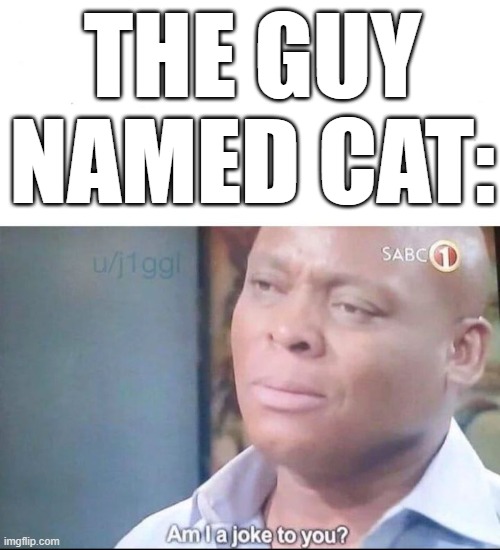 am I a joke to you | THE GUY NAMED CAT: | image tagged in am i a joke to you | made w/ Imgflip meme maker