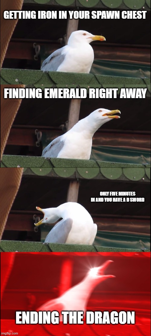 Inhaling Seagull Meme | GETTING IRON IN YOUR SPAWN CHEST; FINDING EMERALD RIGHT AWAY; ONLY FIVE MINUTES IN AND YOU HAVE A D SWORD; ENDING THE DRAGON | image tagged in memes,inhaling seagull | made w/ Imgflip meme maker