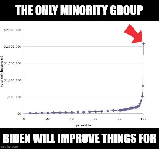 THE ONLY MINORITY GROUP; BIDEN WILL IMPROVE THINGS FOR | image tagged in joe biden,kamala harris | made w/ Imgflip meme maker