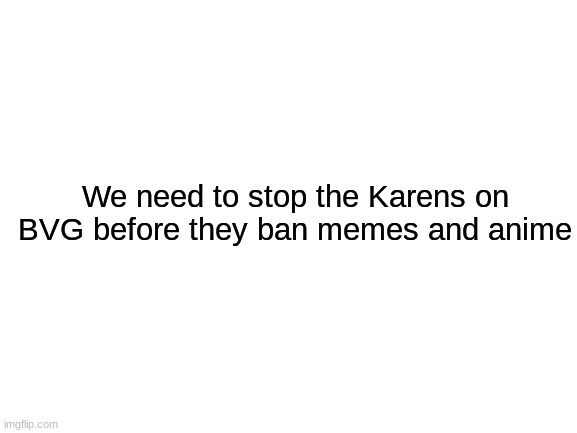 Blank White Template | We need to stop the Karens on BVG before they ban memes and anime | image tagged in blank white template | made w/ Imgflip meme maker