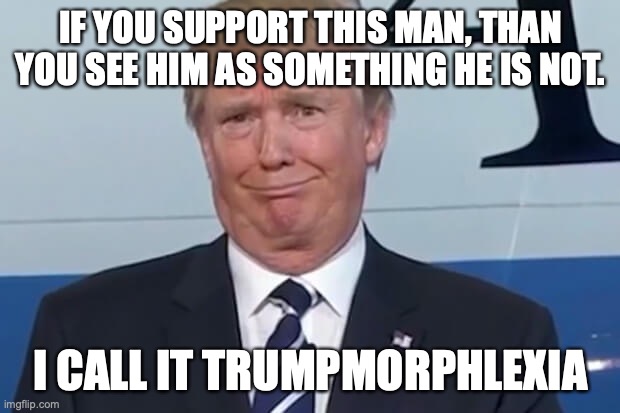 donald trump | IF YOU SUPPORT THIS MAN, THAN YOU SEE HIM AS SOMETHING HE IS NOT. I CALL IT TRUMPMORPHLEXIA | image tagged in donald trump | made w/ Imgflip meme maker