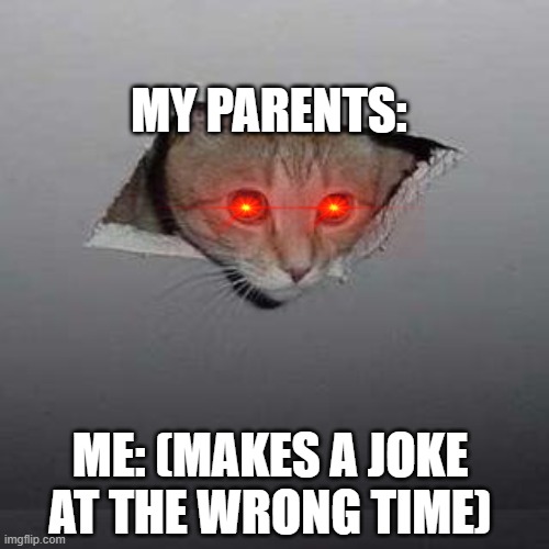 Whenever I make a stupid joke: | MY PARENTS:; ME: (MAKES A JOKE AT THE WRONG TIME) | image tagged in memes,ceiling cat,that moment when | made w/ Imgflip meme maker