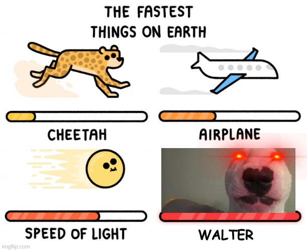 Fastest thing on earth | WALTER | image tagged in fastest thing on earth | made w/ Imgflip meme maker