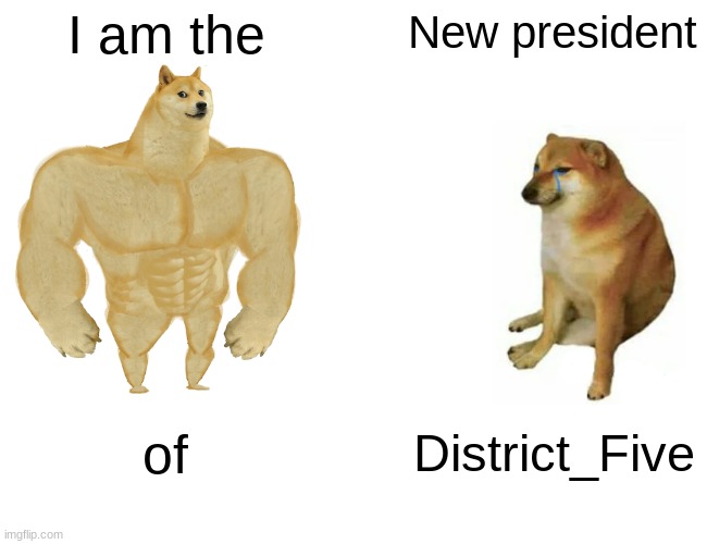 My name is Tbone._.Yaboy. PS: Feel free to tell me what I need to do. | I am the; New president; of; District_Five | image tagged in memes,buff doge vs cheems,funny,funny memes | made w/ Imgflip meme maker