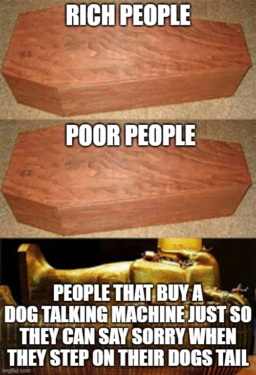 Golden coffin meme | RICH PEOPLE; POOR PEOPLE; PEOPLE THAT BUY A DOG TALKING MACHINE JUST SO THEY CAN SAY SORRY WHEN THEY STEP ON THEIR DOGS TAIL | image tagged in golden coffin meme | made w/ Imgflip meme maker