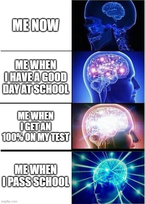 Expanding Brain on school | ME NOW; ME WHEN I HAVE A GOOD DAY AT SCHOOL; ME WHEN I GET AN 100% ON MY TEST; ME WHEN I PASS SCHOOL | image tagged in memes,expanding brain | made w/ Imgflip meme maker