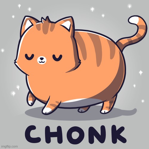 im back | image tagged in memes,funny,cats,chonk,lol | made w/ Imgflip meme maker