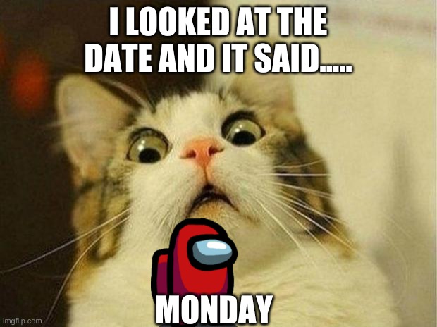 mondays be like | I LOOKED AT THE DATE AND IT SAID..... MONDAY | image tagged in memes,scared cat | made w/ Imgflip meme maker