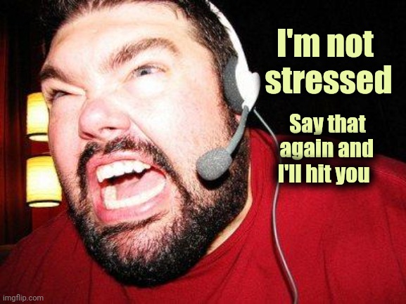 Nerd Rage | I'm not     
stressed Say that   
again and 
I'll hit you | image tagged in nerd rage | made w/ Imgflip meme maker