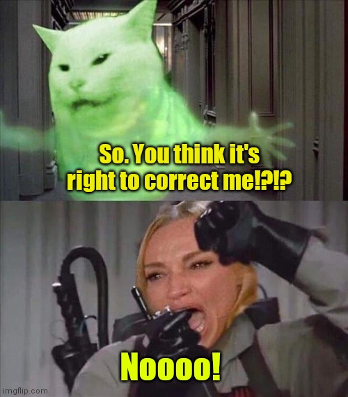 I've been slimed. | So. You think it's right to correct me!?!? Noooo! | image tagged in cat spirit,funny | made w/ Imgflip meme maker