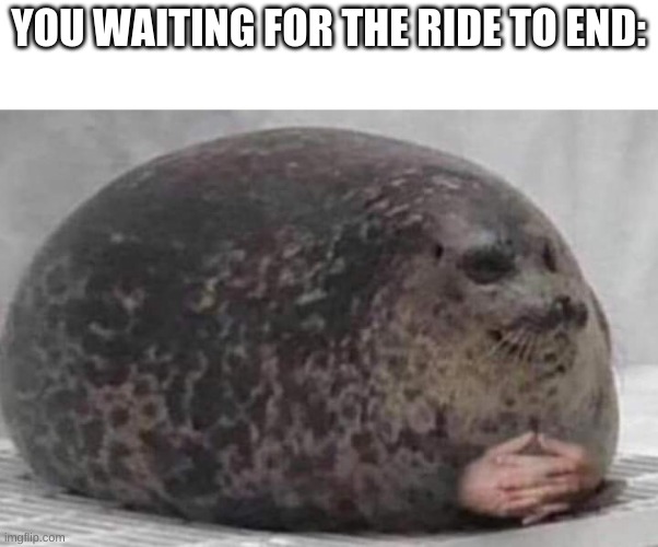 Fat seal with interlocked hands | YOU WAITING FOR THE RIDE TO END: | image tagged in fat seal with interlocked hands | made w/ Imgflip meme maker