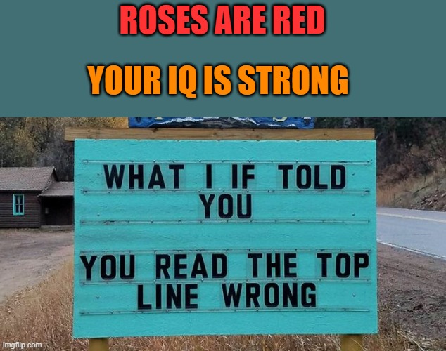 And Another One | ROSES ARE RED; YOUR IQ IS STRONG | image tagged in what up with these signs,design not copyrighted,i included orange bottom text,so it is not copyright,raydog's is blue not orange | made w/ Imgflip meme maker