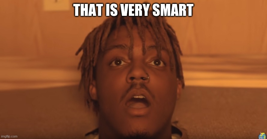 shocked juice wrld | THAT IS VERY SMART | image tagged in shocked juice wrld | made w/ Imgflip meme maker