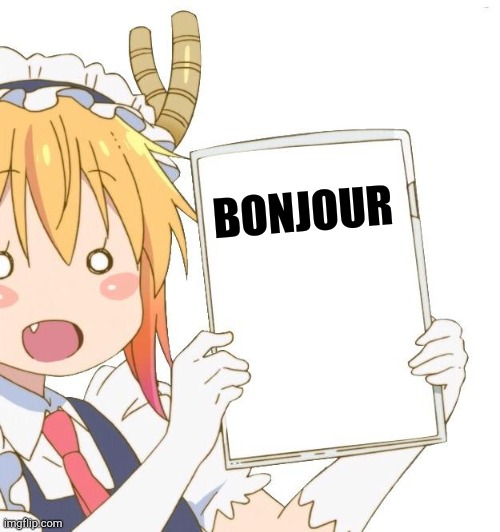 Tohru holding a sign | BONJOUR | image tagged in tohru holding a sign | made w/ Imgflip meme maker