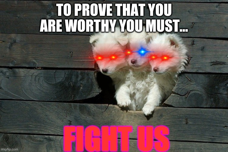 Cerberus Pups | TO PROVE THAT YOU ARE WORTHY YOU MUST... FIGHT US | image tagged in cerberus pups | made w/ Imgflip meme maker
