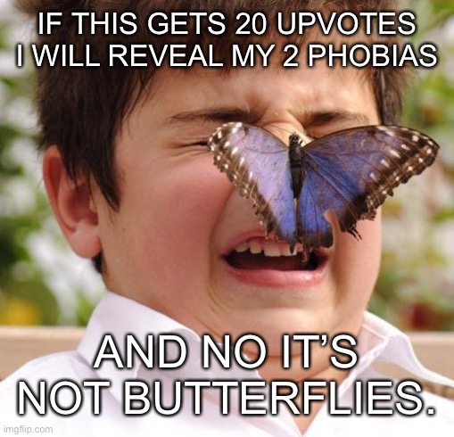 Scary Butterfly | IF THIS GETS 20 UPVOTES I WILL REVEAL MY 2 PHOBIAS; AND NO IT’S NOT BUTTERFLIES. | image tagged in scary butterfly | made w/ Imgflip meme maker