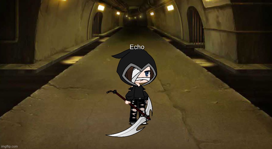 Ask and dare Echo | made w/ Imgflip meme maker