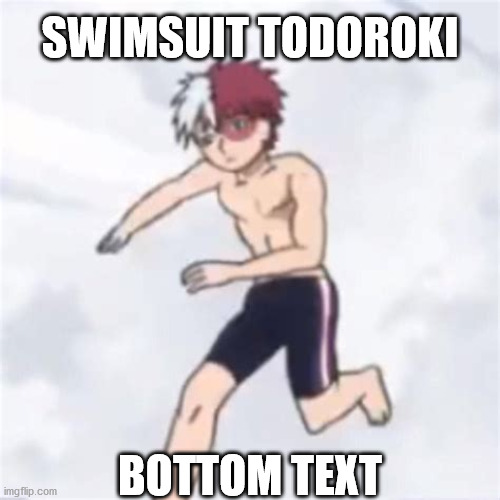 I love this image | SWIMSUIT TODOROKI; BOTTOM TEXT | image tagged in mha,todoroki | made w/ Imgflip meme maker