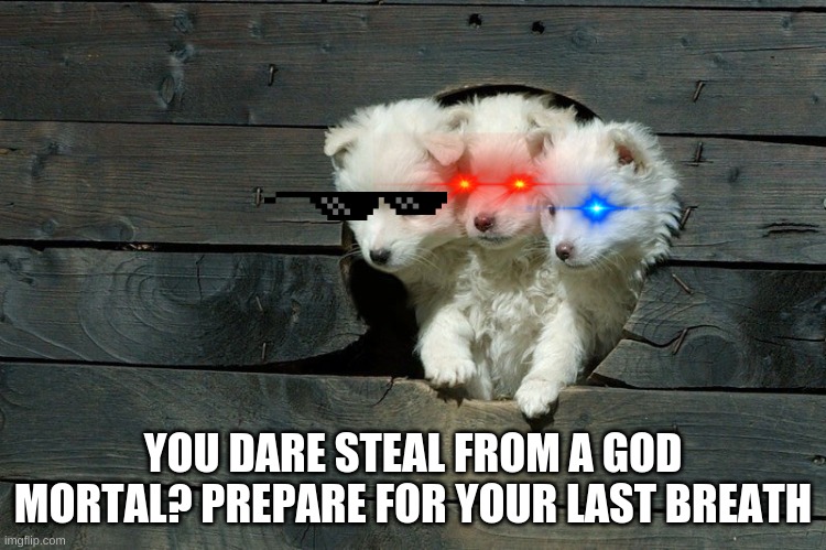 Cerberus Pups | YOU DARE STEAL FROM A GOD MORTAL? PREPARE FOR YOUR LAST BREATH | image tagged in cerberus pups | made w/ Imgflip meme maker