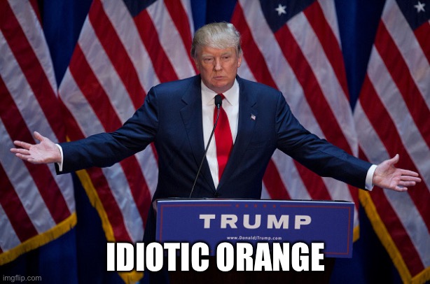 Time to trigger the trump supporters | IDIOTIC ORANGE | image tagged in donald trump | made w/ Imgflip meme maker