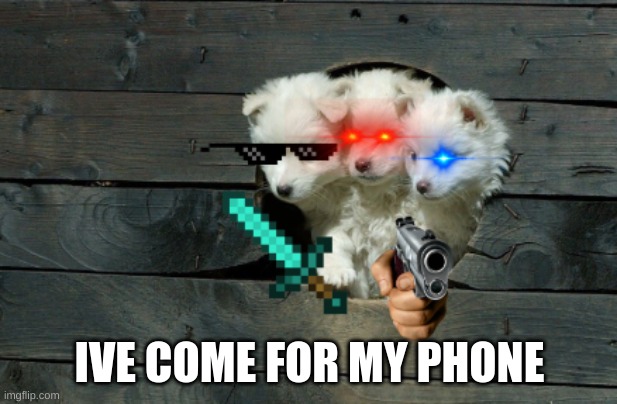 Cerberus pups 2 | IVE COME FOR MY PHONE | image tagged in cerberus pups 2 | made w/ Imgflip meme maker