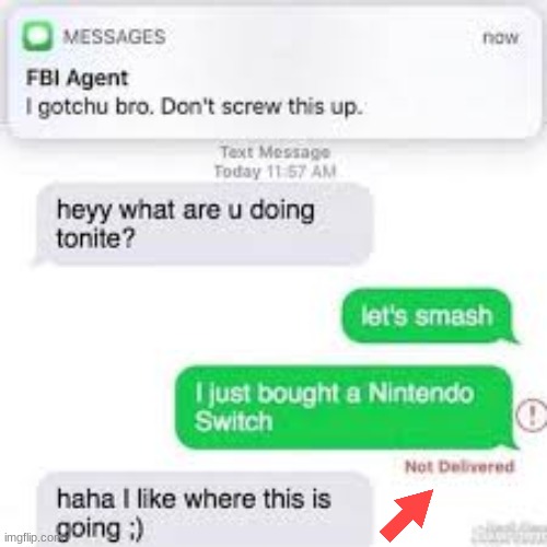 not delivered | image tagged in text | made w/ Imgflip meme maker