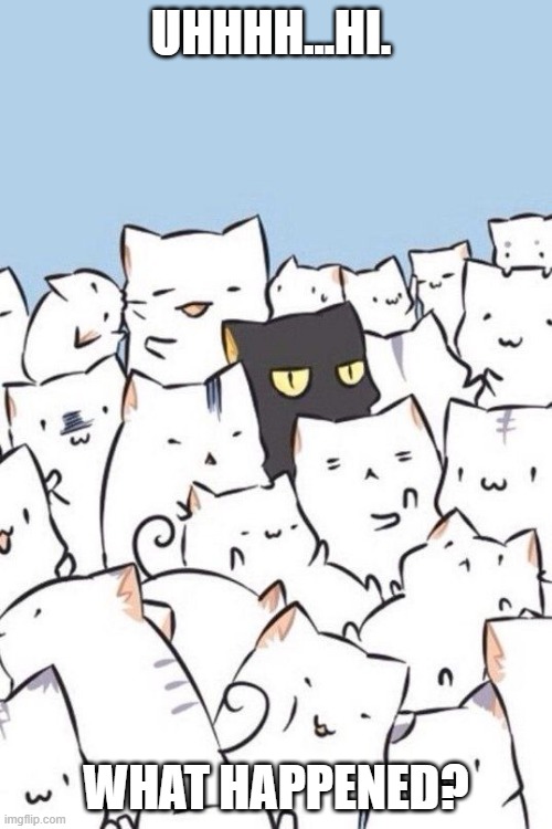 Cats | UHHHH...HI. WHAT HAPPENED? | image tagged in cats | made w/ Imgflip meme maker