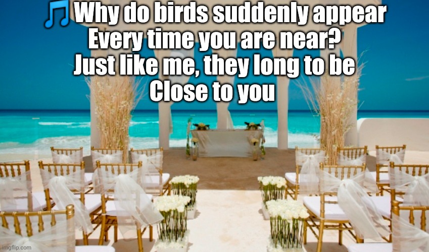 Close to You by Carpenters | 🎵Why do birds suddenly appear
Every time you are near?
Just like me, they long to be
Close to you | image tagged in beach wedding | made w/ Imgflip meme maker