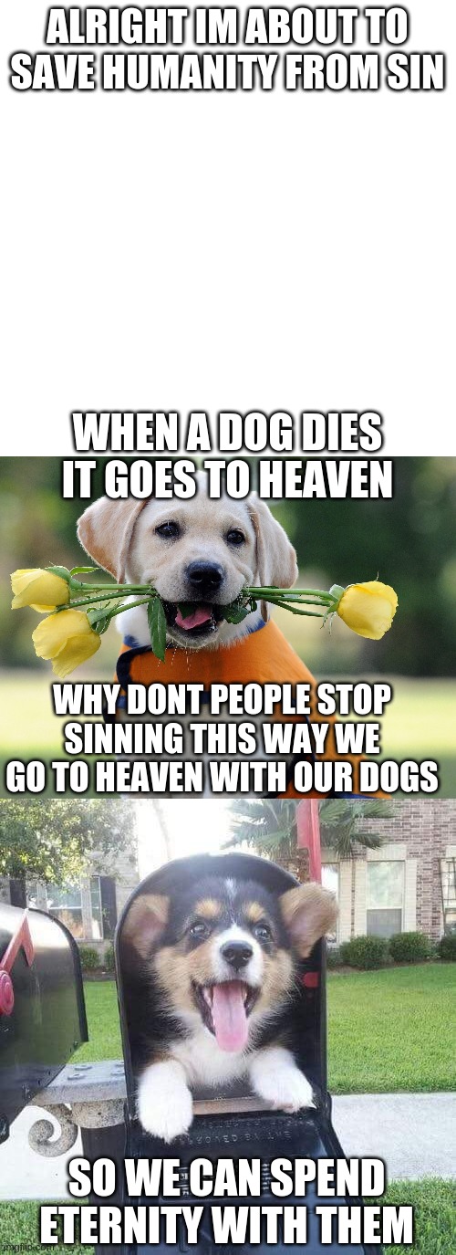 saving humanity, one meme at a time | ALRIGHT IM ABOUT TO SAVE HUMANITY FROM SIN; WHEN A DOG DIES IT GOES TO HEAVEN; WHY DONT PEOPLE STOP SINNING THIS WAY WE GO TO HEAVEN WITH OUR DOGS; SO WE CAN SPEND ETERNITY WITH THEM | image tagged in memes,blank transparent square,cute dog,cute doggo in mailbox | made w/ Imgflip meme maker