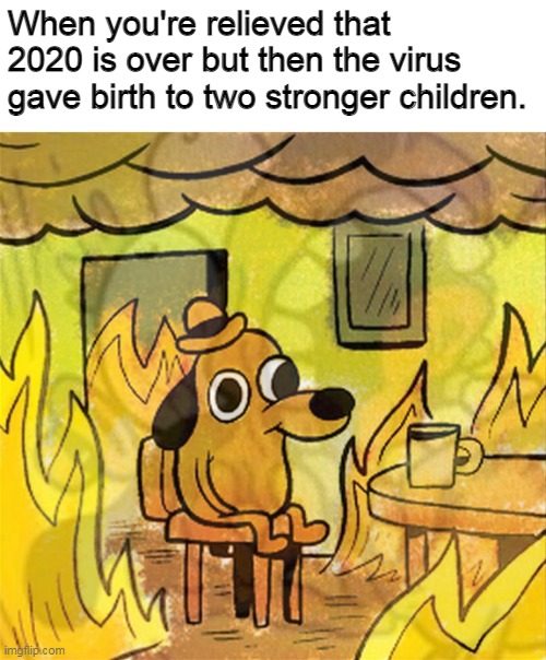 ahahahahahahahahahahahahahahahahahahahahahahahahahaha | When you're relieved that 2020 is over but then the virus gave birth to two stronger children. | image tagged in this is definitely fine,this is fine dog | made w/ Imgflip meme maker