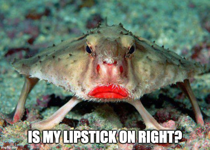 IS MY LIPSTICK ON RIGHT? | image tagged in memes | made w/ Imgflip meme maker