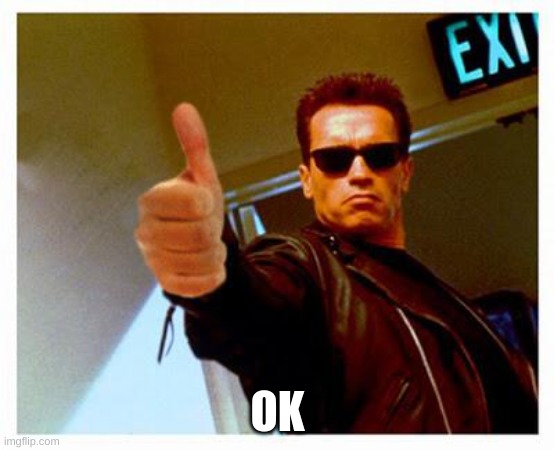 terminator thumbs up | OK | image tagged in terminator thumbs up | made w/ Imgflip meme maker