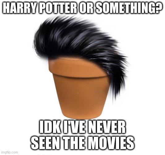 Harry Potter or something? | HARRY POTTER OR SOMETHING? IDK I'VE NEVER SEEN THE MOVIES | image tagged in harry potter,memes | made w/ Imgflip meme maker