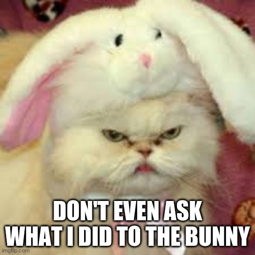 Easter Cat | DON'T EVEN ASK WHAT I DID TO THE BUNNY | image tagged in easter cat | made w/ Imgflip meme maker