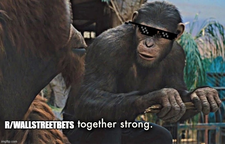 r/WallStreetBets together strong | R/WALLSTREETBETS | image tagged in apes together strong | made w/ Imgflip meme maker