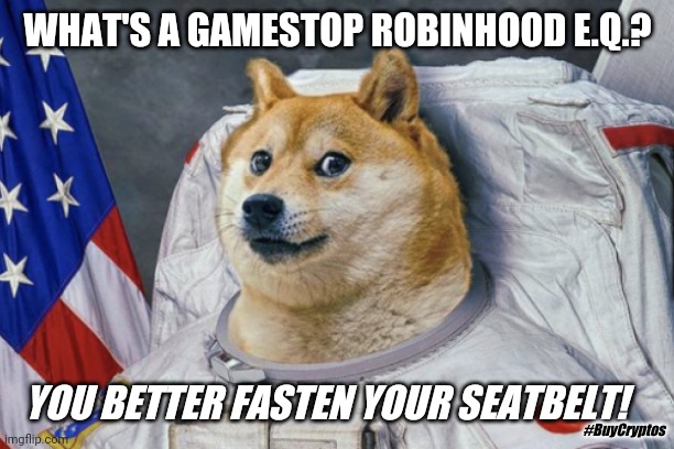 Butthurt retail investors stampede out of a rigged stock market? Reddit: Cryptos to Really Blast Off?  Doge says Buckle UP! | WHAT'S A GAMESTOP ROBINHOOD E.Q.? STOCKMARKET DOGE DAM BREAKING EARTHQUAKE TSUNAMI SEACHANGE PARADIGM DISRUPTER XRP DIGITAL GOLD STANDARD PHOENIX TO THE FIAT ON FIRE BANK LIQUIDITY CRISIS RESCUE. YOU BETTER FASTEN YOUR SEATBELT! #BuyCryptos | image tagged in cryptos ready for lift off,spacex,doge,elon musk,cryptocurrency,the great awakening | made w/ Imgflip meme maker