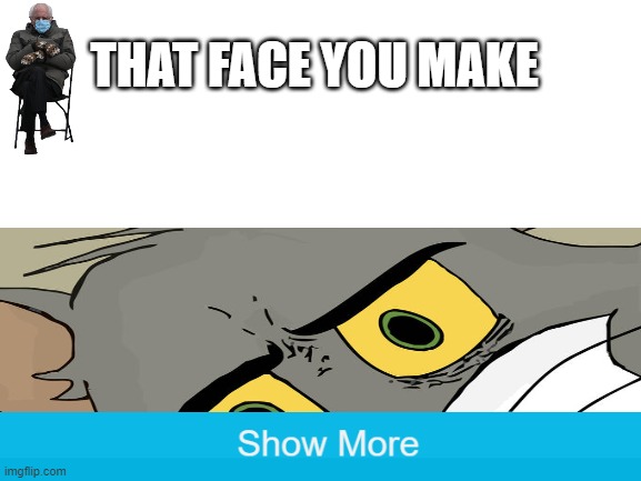 That Face You Make | THAT FACE YOU MAKE | image tagged in blank white template | made w/ Imgflip meme maker