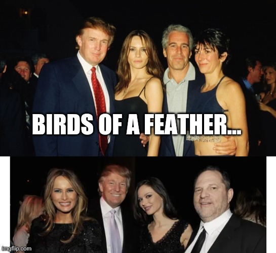 BIRDS OF A FEATHER... | made w/ Imgflip meme maker