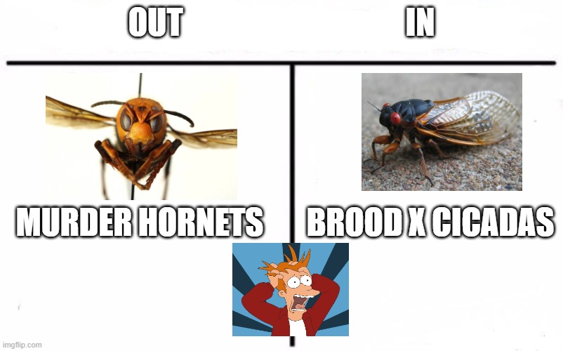 Apparently, it's still 2020. | OUT                                    IN; MURDER HORNETS       BROOD X CICADAS | image tagged in who would win blank | made w/ Imgflip meme maker