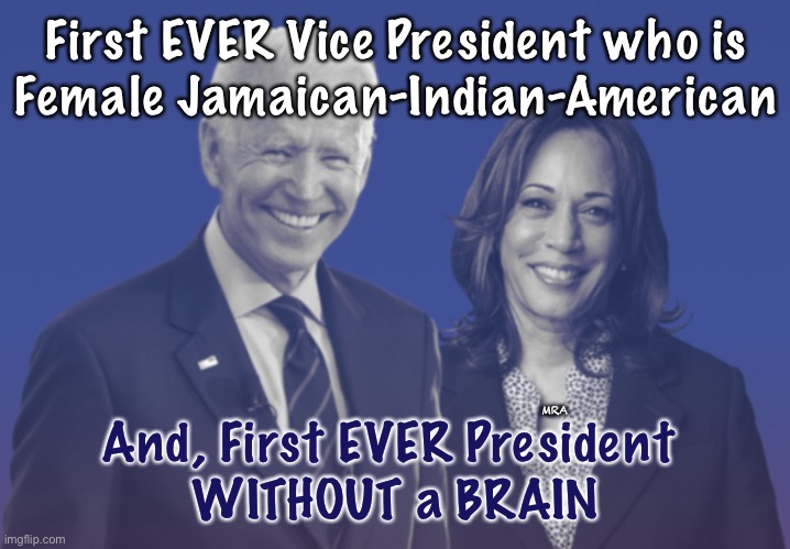 Wizard of Ahhhh’s - Brain, please   ~neverwoke~ | First EVER Vice President who is
Female Jamaican-Indian-American; And, First EVER President 
WITHOUT a BRAIN; MRA | image tagged in biden harris 2020,joe,dumb,dumbocrats,embarrassing,leftists | made w/ Imgflip meme maker