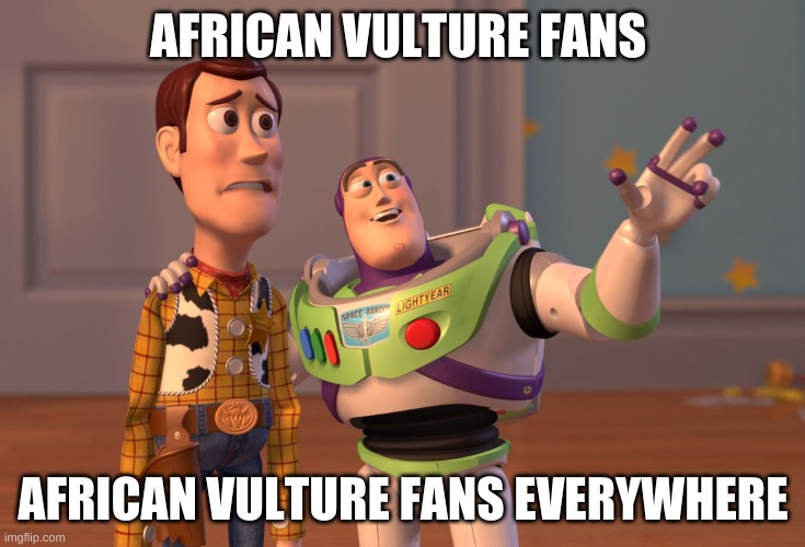 African vulture fans | AFRICAN VULTURE FANS; AFRICAN VULTURE FANS EVERYWHERE | image tagged in memes,x x everywhere | made w/ Imgflip meme maker