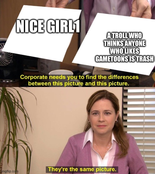 They are the same picture | NICE GIRL1 A TROLL WHO THINKS ANYONE WHO LIKES GAMETOONS IS TRASH | image tagged in they are the same picture | made w/ Imgflip meme maker