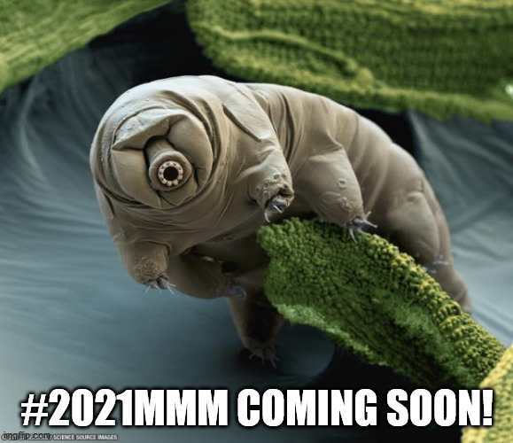 tardigrade | #2021MMM COMING SOON! | image tagged in tardigrade | made w/ Imgflip meme maker